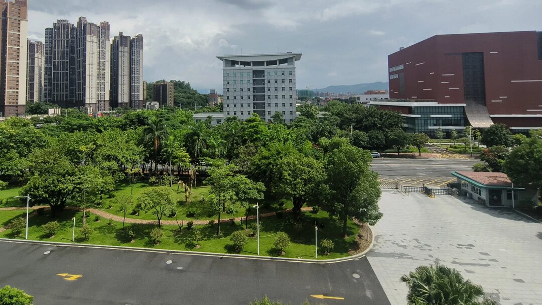 11年后，再次回到法院工作（临时）