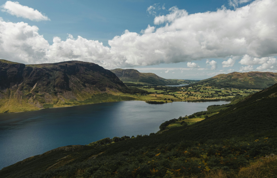 8月说说: Folo RSS迁移 医保药价 断机油滤芯 飞牛不显示硬盘温度